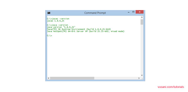 Java Version is all setup